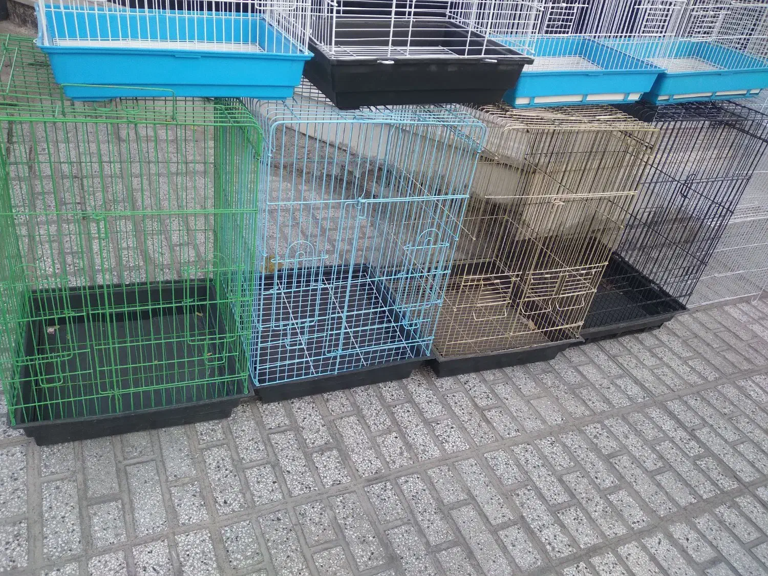 کلکسیون قفس های پرنده|لوازم جانبی حیوانات|تربت‌حیدریه, شهید قرنی|دیوار