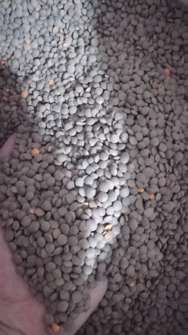 خشکبار|حراج|داراب, |دیوار