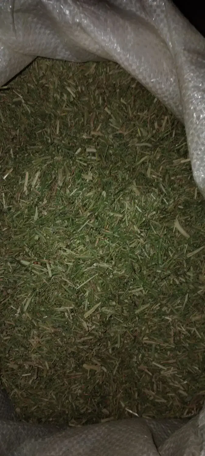 راهنمایی|فعالیت داوطلبانه تحقیقاتی|نیشابور, مازول|دیوار