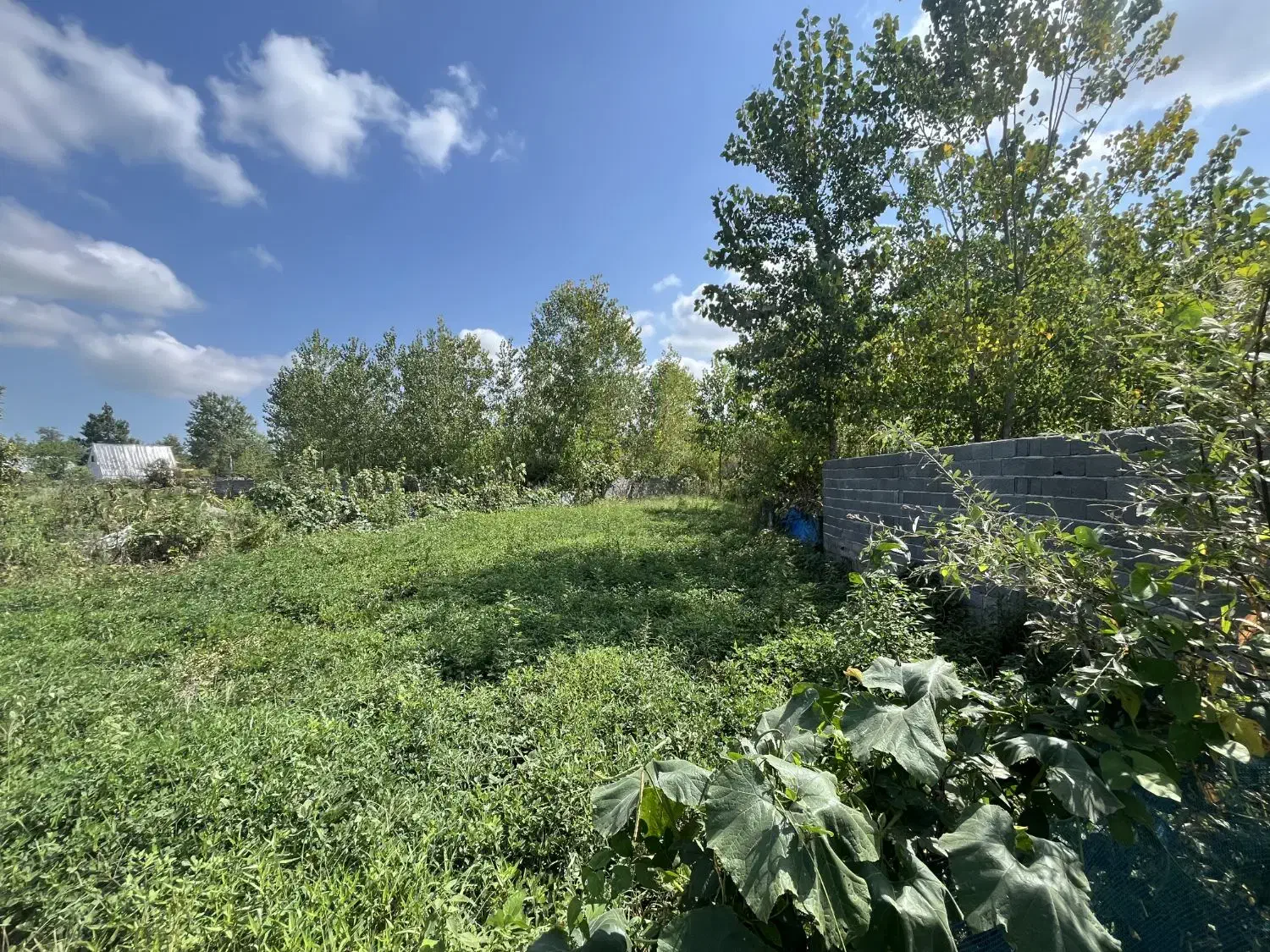 زمین۲۰۰مترمسکونی/مدارک سندتکبرگ/اشمان کماچال|فروش زمین و ملک کلنگی|آستانه اشرفیه, |دیوار