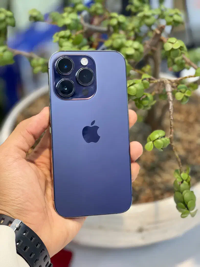 14pro 256gig zaنقد و اقساط|موبایل|کرج, گلشهر|دیوار