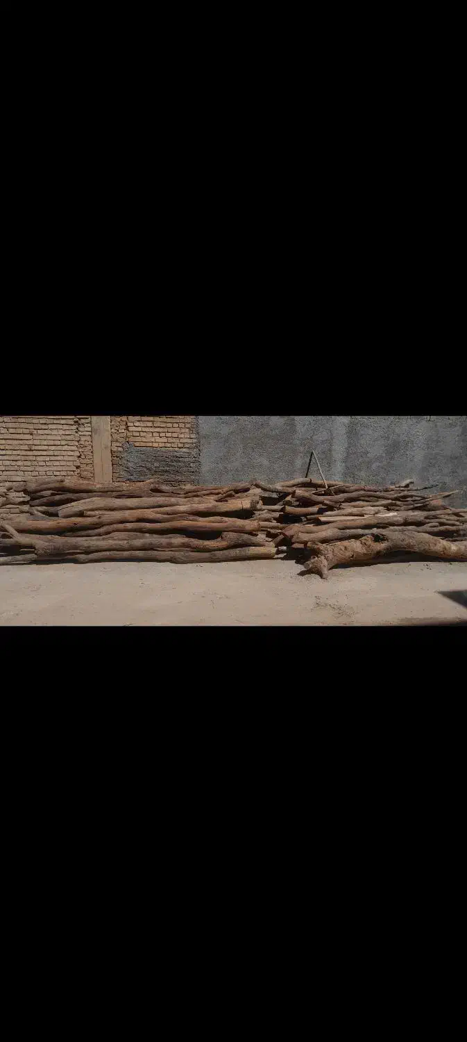 چوب بلوط|گل و گیاه طبیعی|لردگان, |دیوار