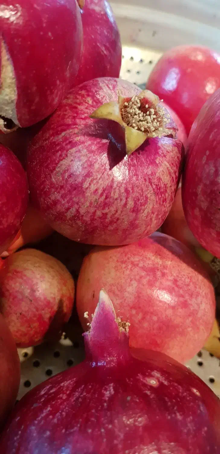 انار درجه یک رباب قصردشتی دانه قرمز میخوش|خوردنی و آشامیدنی|شیراز, میرزاکوچک خان|دیوار