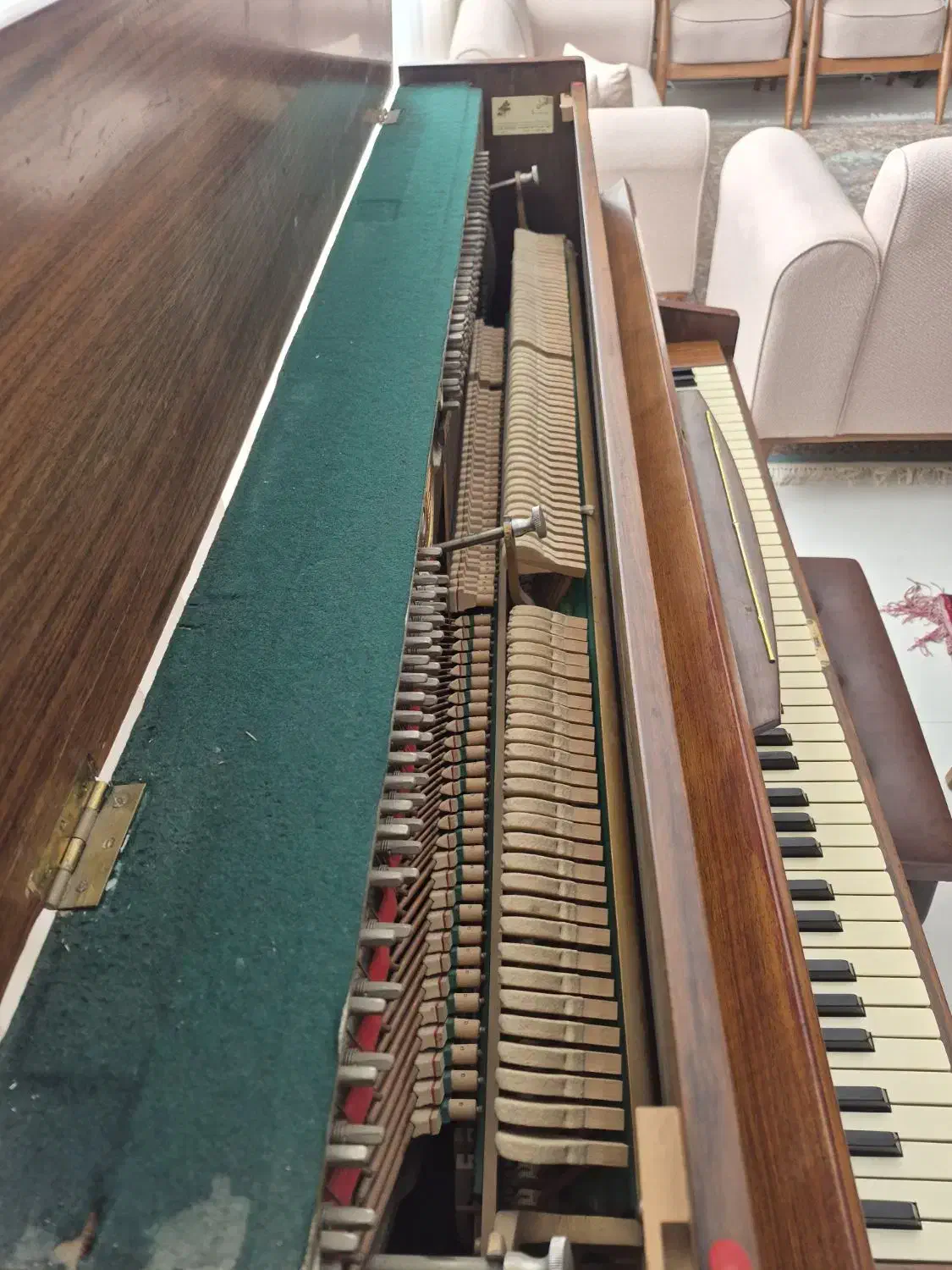 پیانو zimmerman|پیانو، کیبورد، آکاردئون|مشهد, الهیه|دیوار