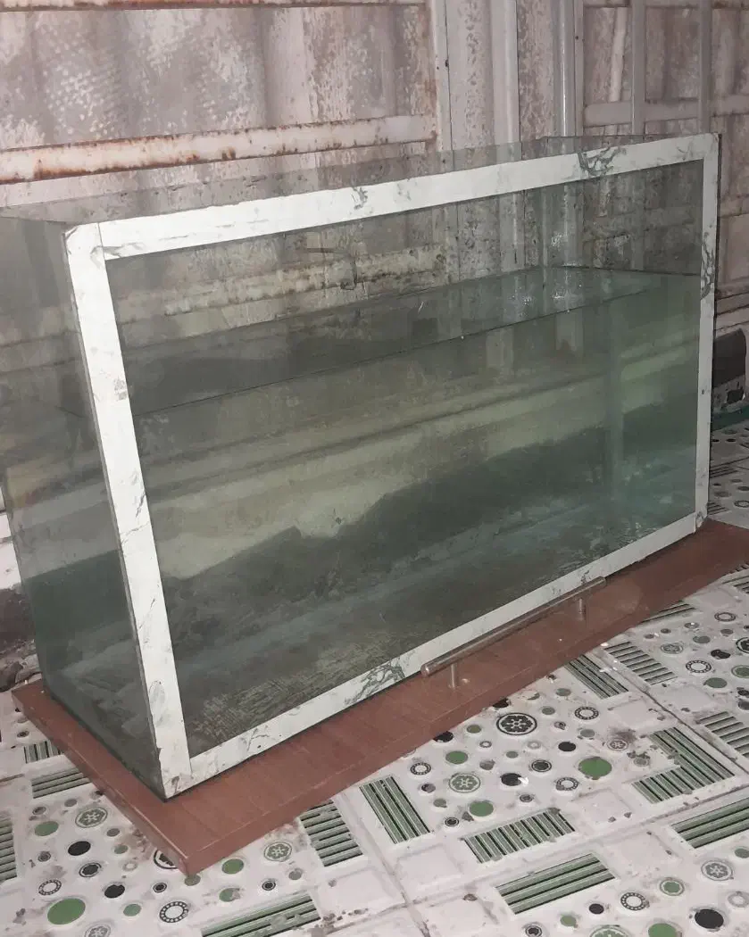 آکواریوم|ماهی|خرمشهر, |دیوار