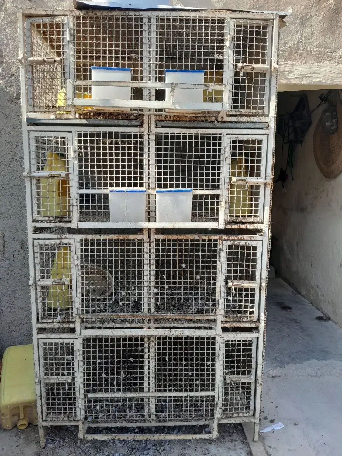 جفت گاه کبوتر|لوازم جانبی حیوانات|بندر کنگان, |دیوار