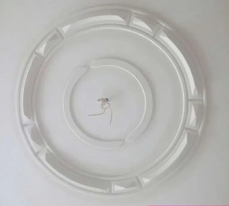 گچ کاری وسفید کاری|خدمات پیشه و مهارت|میاندوآب, |دیوار