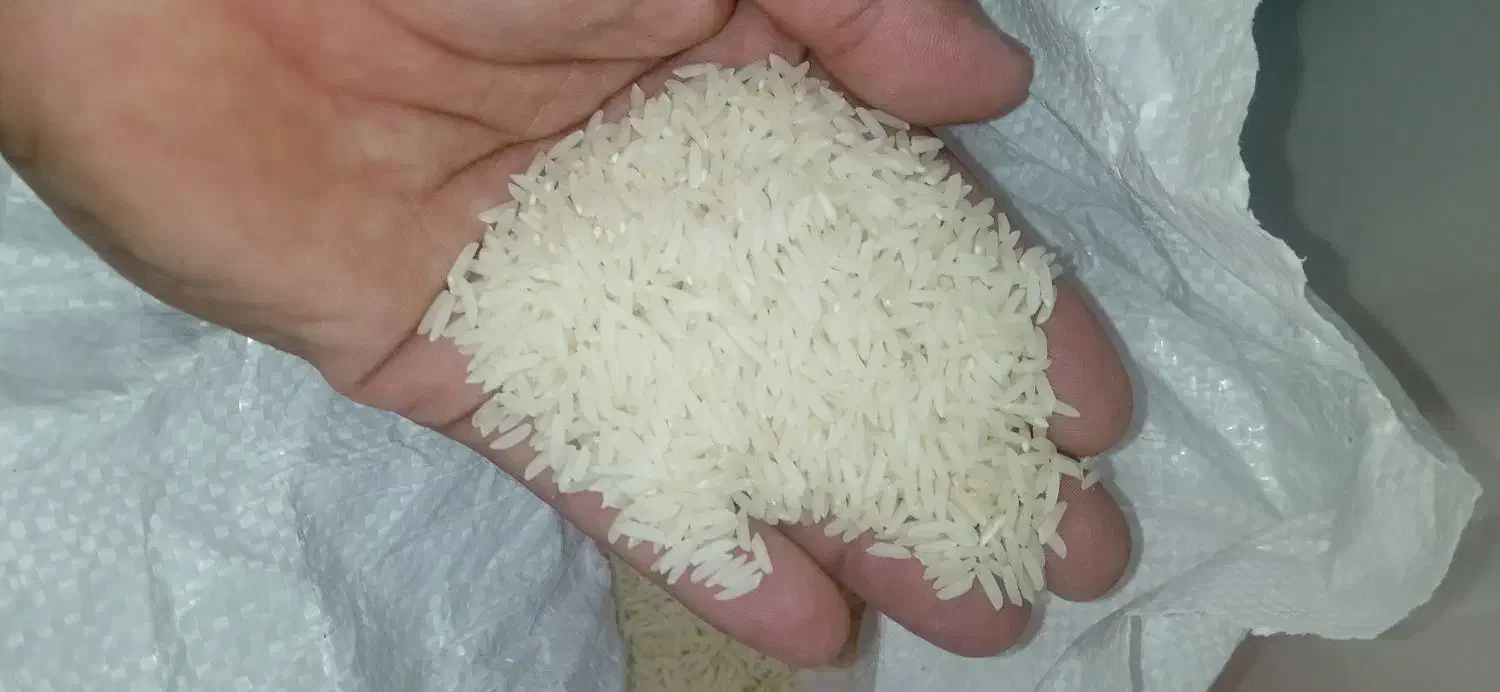 برنج معطر طارم دم سیاه درجه خالص|عمده‌فروشی|طرقبه, |دیوار