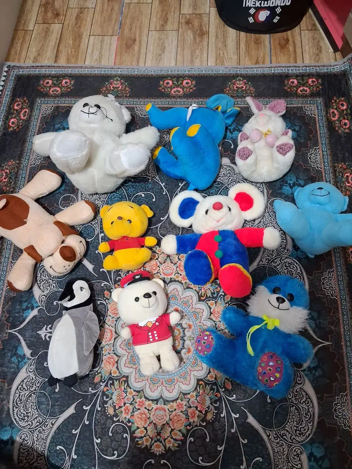 عروسک|اسباببازی بچه|قم, حقیقت|دیوار