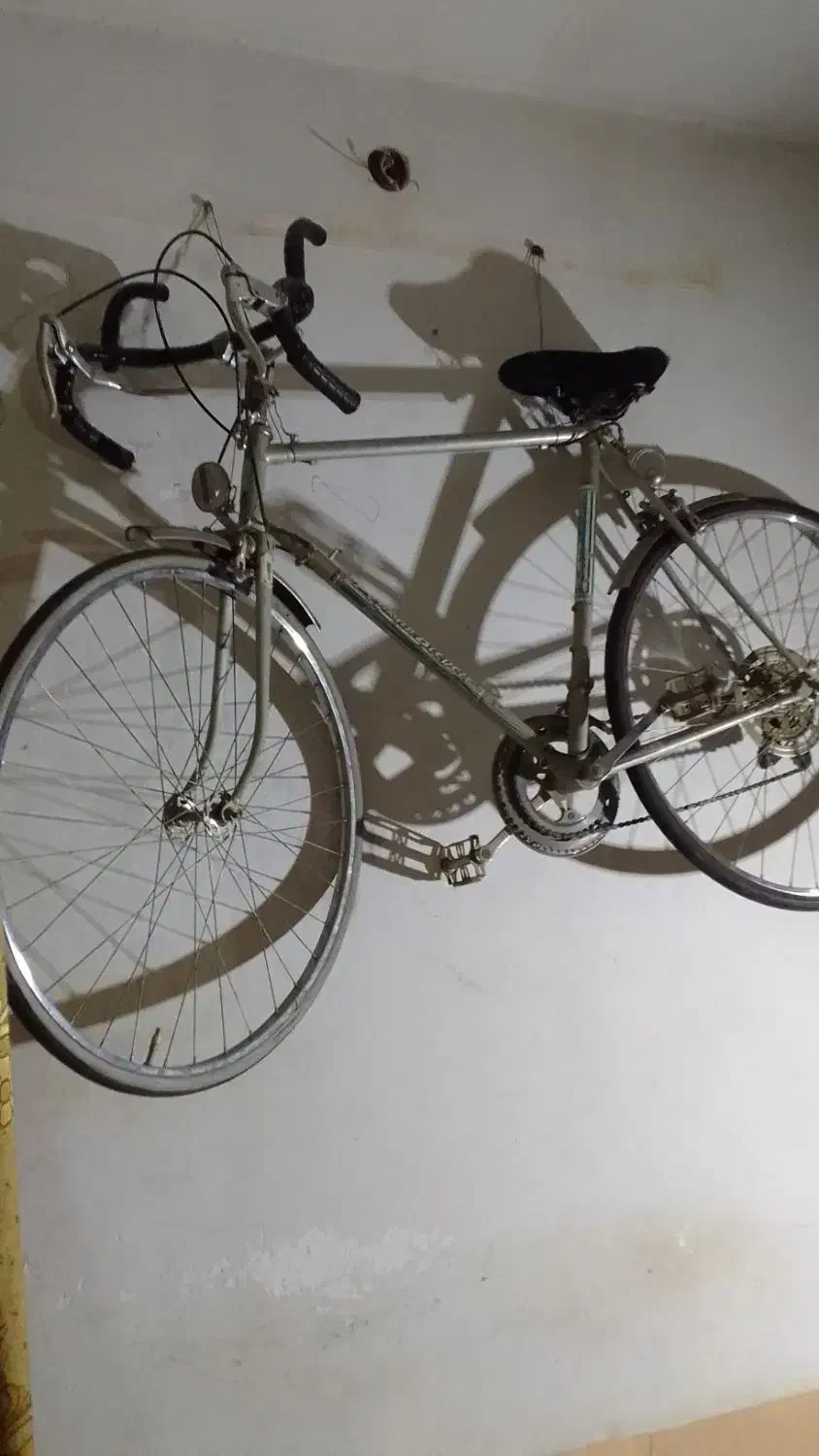 دوچرخه|دوچرخه، اسکیت، اسکوتر|مشهد, شهید آوینی|دیوار