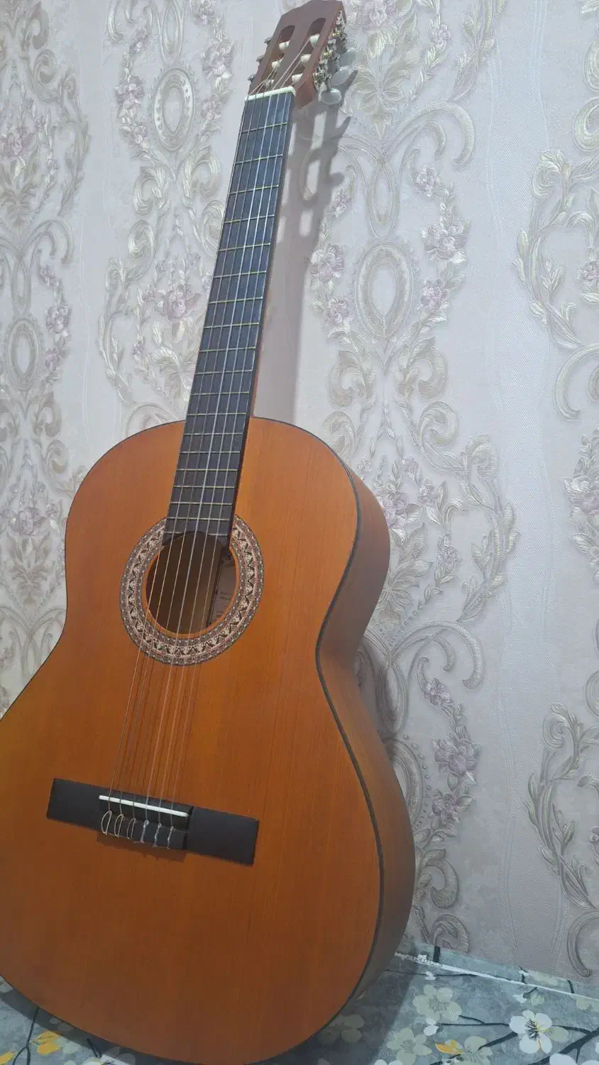 گیتار فروشی پارسی مدل M3|گیتار، بیس، امپلیفایر|قزوین, |دیوار