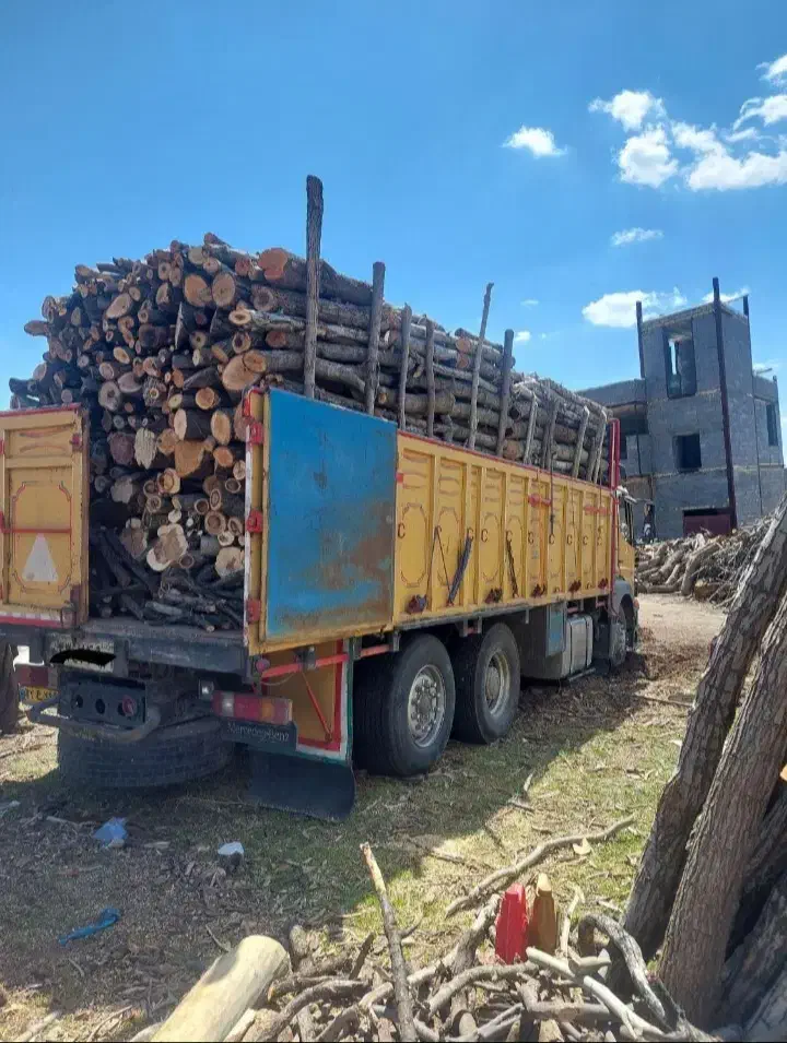 چوبباغیشماراخریدارمبهقیمتبالا|خدمات باغبانی و درختکاری|بجنورد, |دیوار