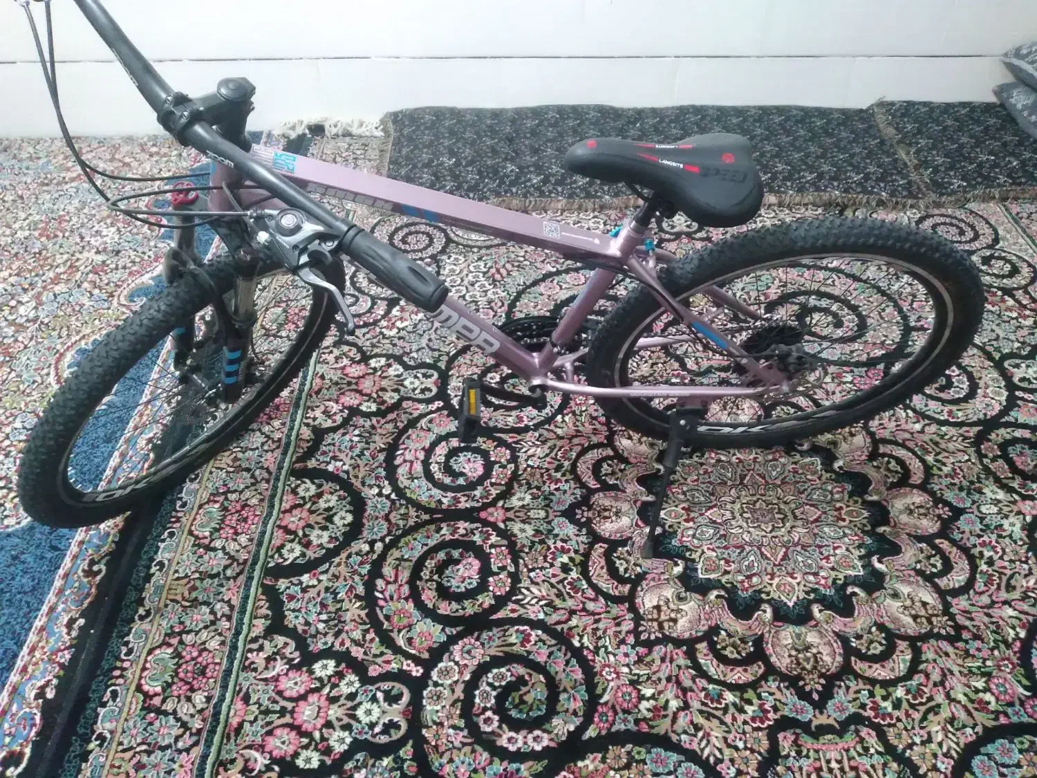 دوچرخه|دوچرخه، اسکیت، اسکوتر|اسفندقه, |دیوار