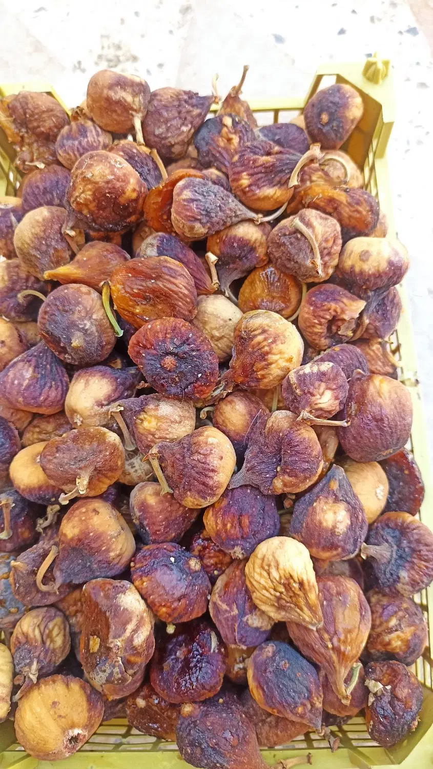 انجیر|خوردنی و آشامیدنی|شیراز, شریف‌آباد|دیوار