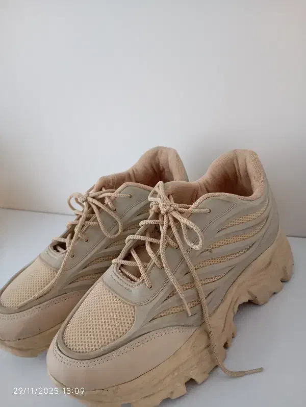 کفش نو|کیف، کفش، کمربند|تربت‌حیدریه, مظفریه|دیوار