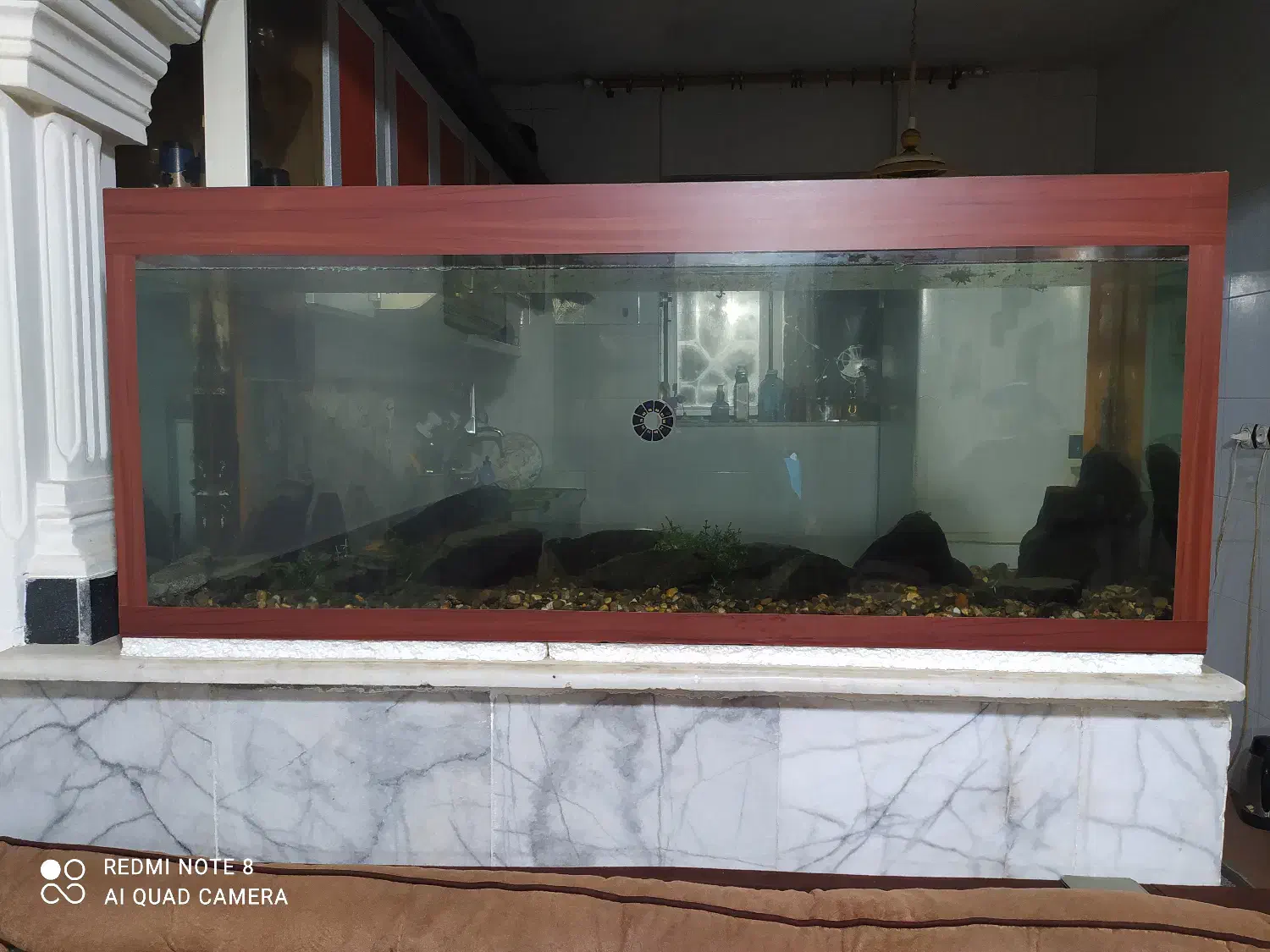 آکواریوم ماهی|ماهی|گنبد کاووس, |دیوار