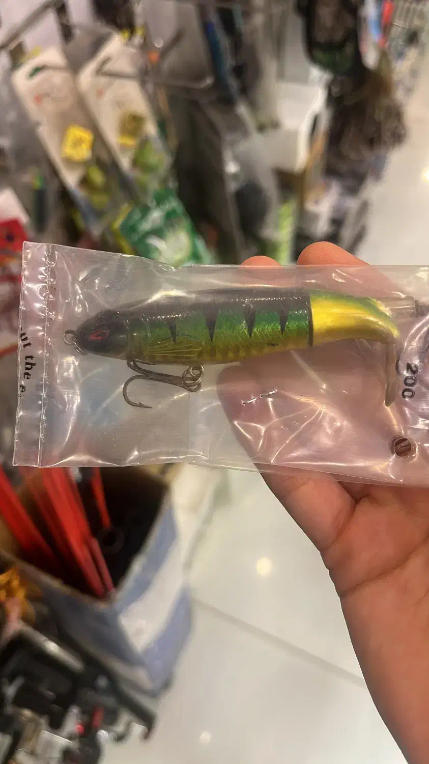 بالا ترین تنوع لور ماهیگیری|ماهیگیری|اصفهان, نقش جهان|دیوار