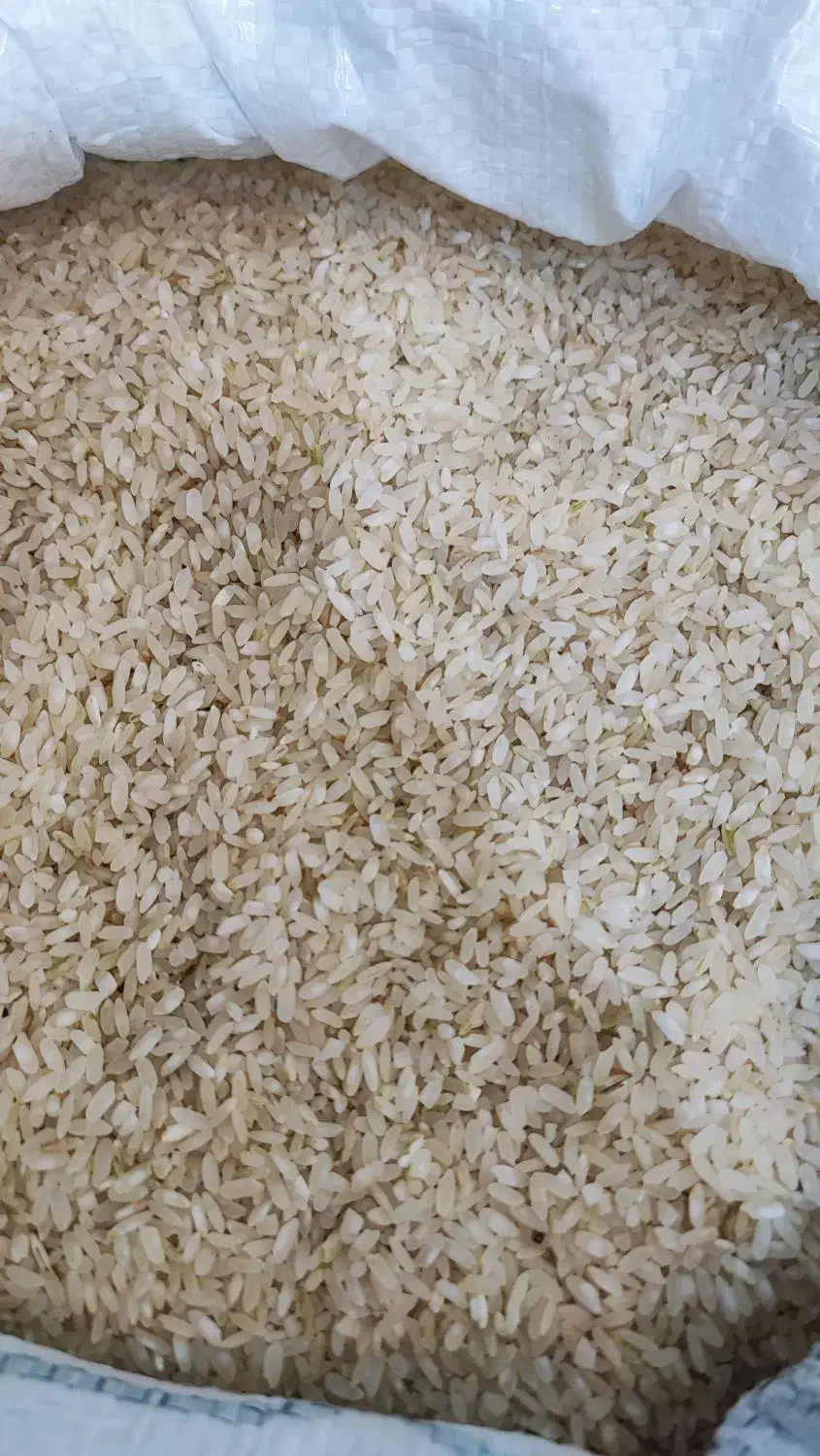 برنج کامفیروز اصل|خوردنی و آشامیدنی|بروجن, |دیوار