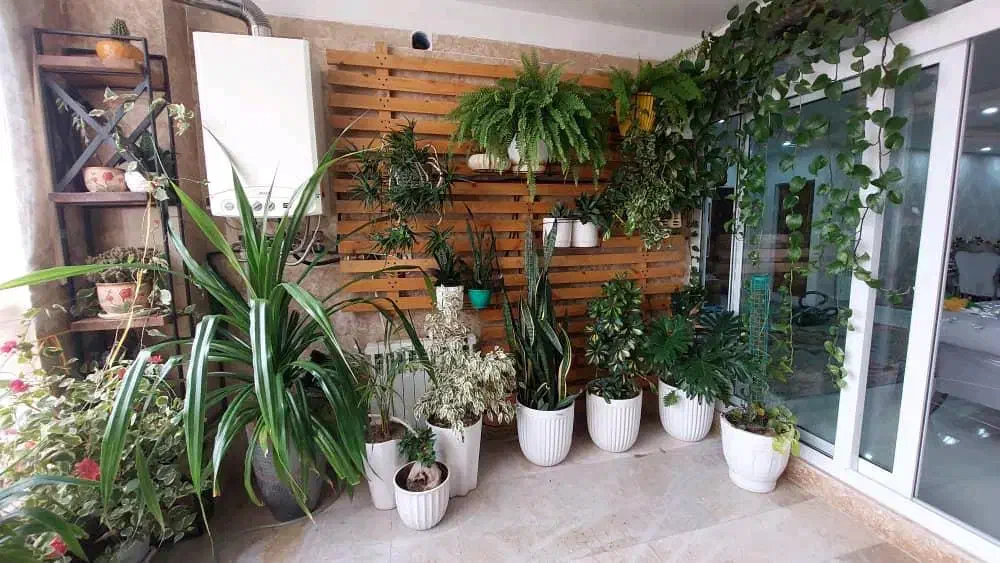 آپارتمان 183 متری روبه مزرعه تاپ لوکیشن شهرک بعثت|فروش آپارتمان|مشکین‌دشت, |دیوار