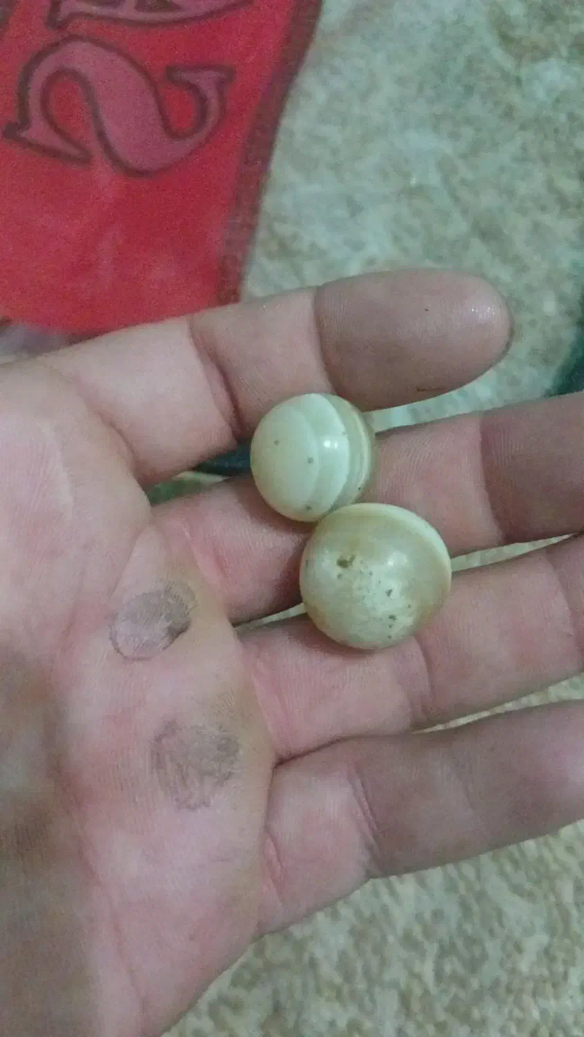 مهره برد|کلکسیون اشیاء عتیقه|باغ ملک, |دیوار