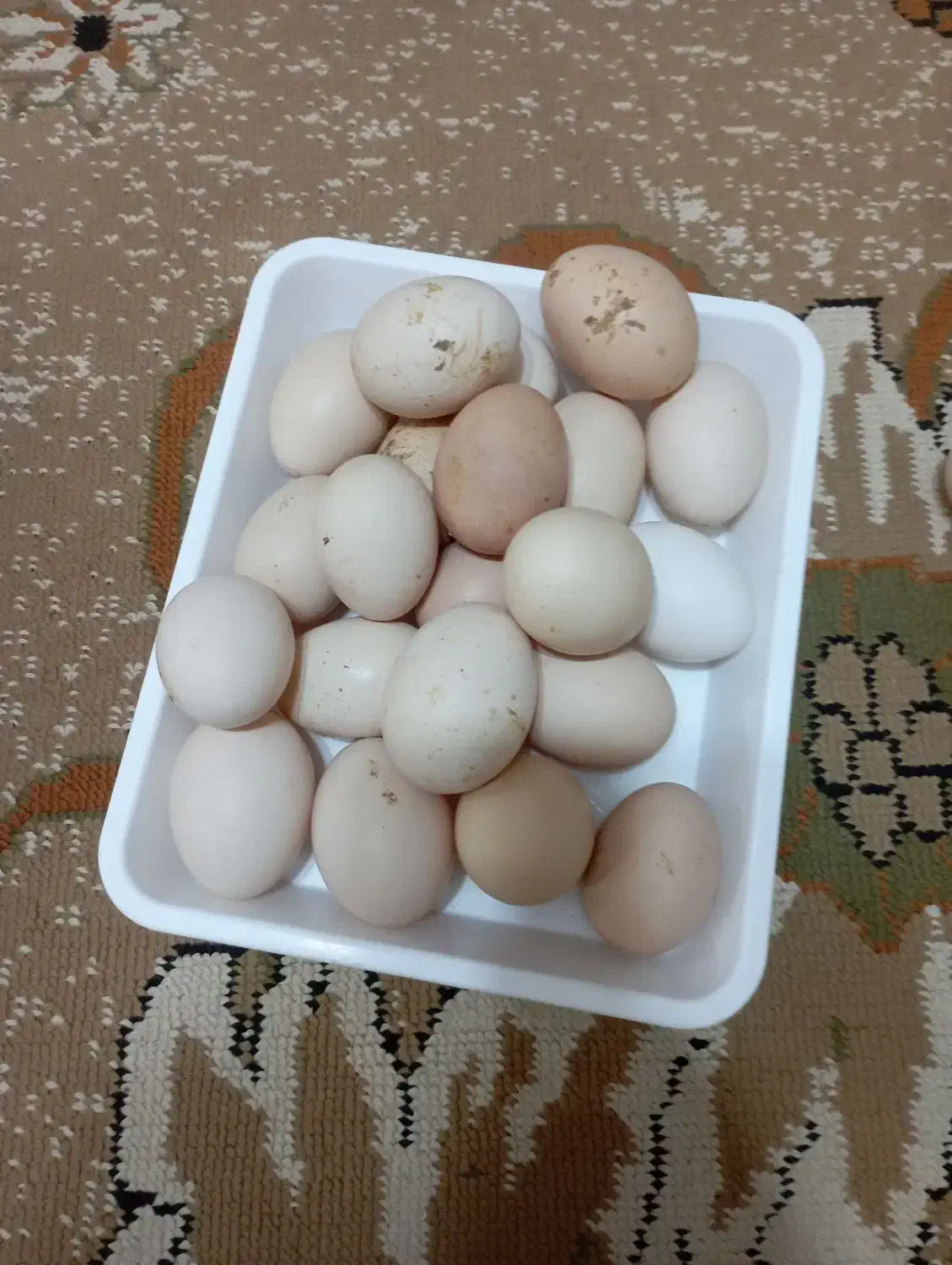 تخم مرغ محلی|خوردنی و آشامیدنی|سده (خراسان جنوبی), |دیوار