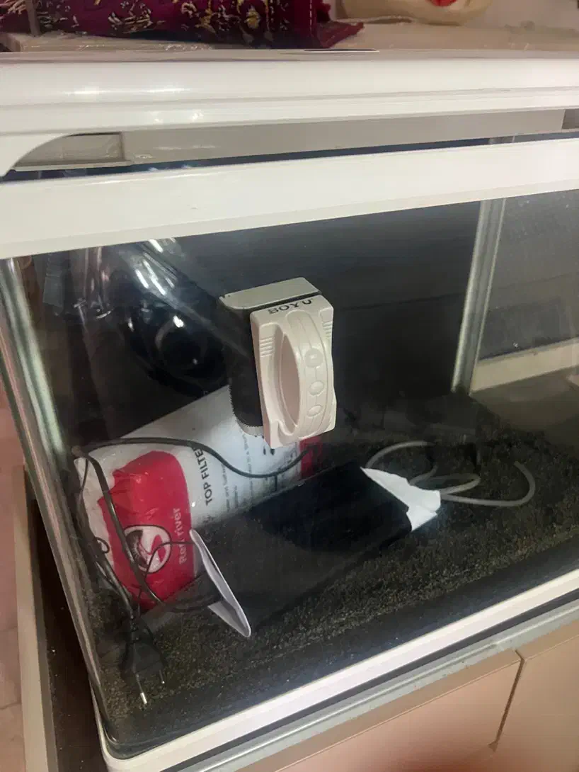 آکواریم کمری ژاپن با تمام وسایل|ماهی|باقرشهر, |دیوار