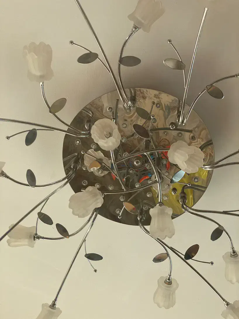 لوستر|لوستر و چراغ آویز|تبریز, |دیوار