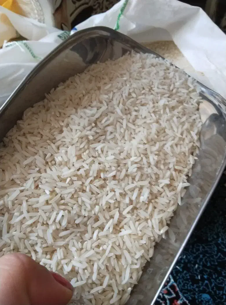 فروش سرلاشع ونیم دانه درجه یک طارم هاشمی|خوردنی و آشامیدنی|نسیم‌شهر, |دیوار