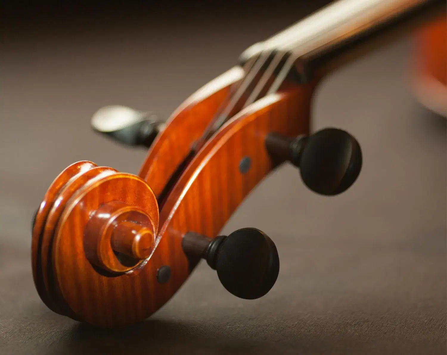 آموزش خصوصی ویولن|خدمات آموزشی|کرج, شهرک بنفشه|دیوار