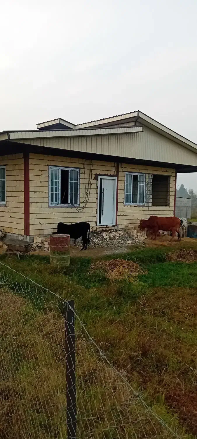 صفر تا صد کار ساختمانی|خدمات پیشه و مهارت|احمدسرگوراب, |دیوار