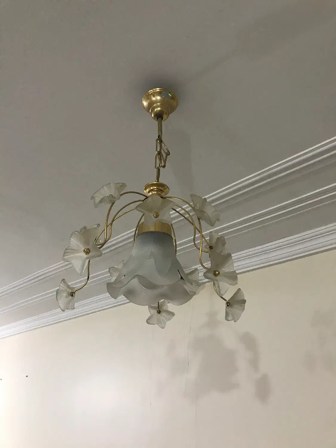 لوستر طرح گل|لوستر و چراغ آویز|اهواز, کیانپارس |دیوار