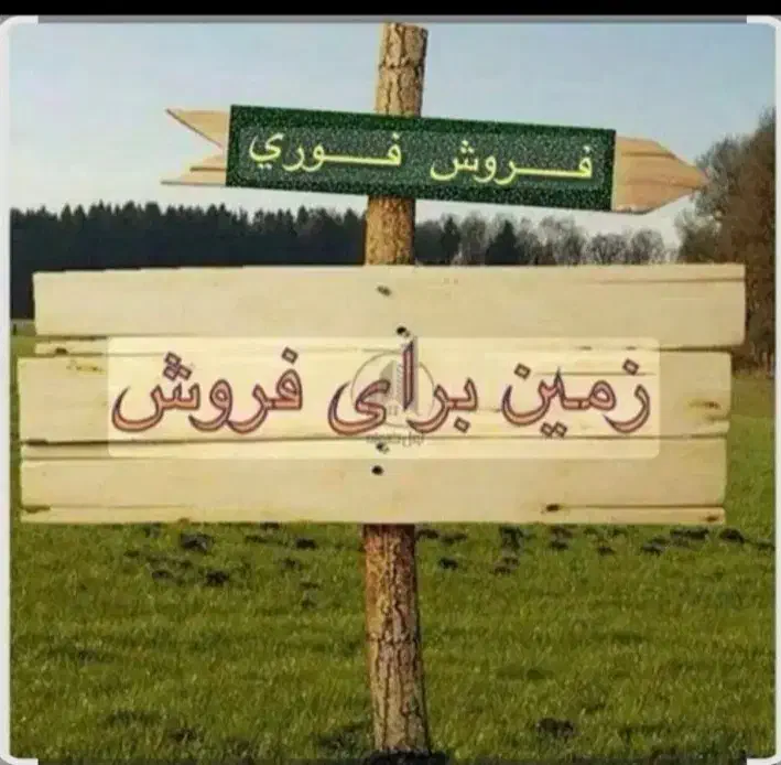 فروش زمین۲۵۰متری فوری|فروش زمین و ملک کلنگی|کاشان, قطب راوندی|دیوار