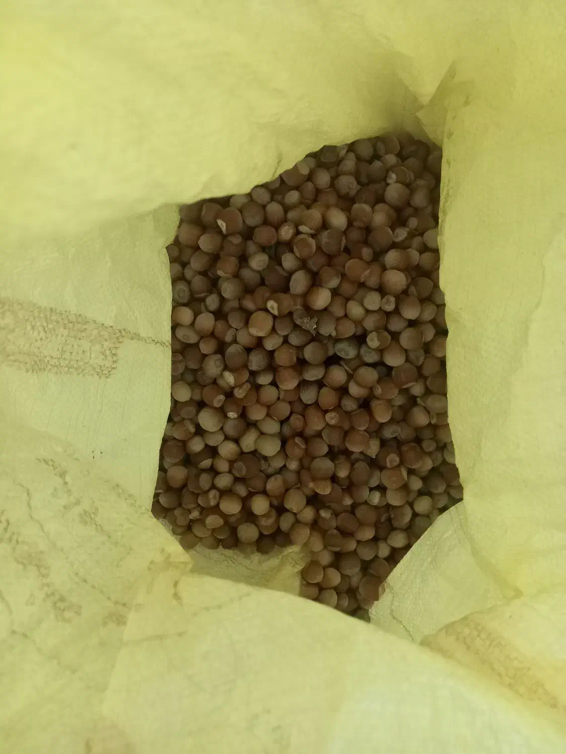 فندوق ارگانیک|خوردنی و آشامیدنی|مشهد, فتح المبین|دیوار