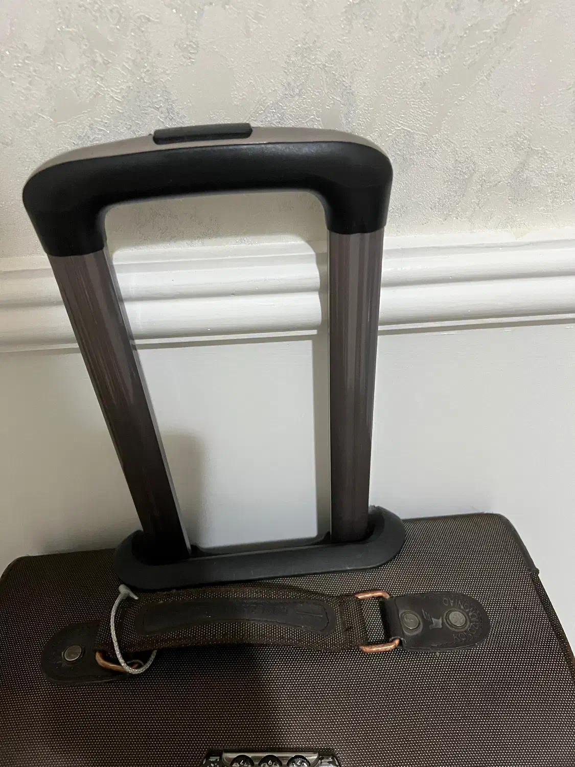 چمدان سایز متوسط|کیف، کفش، کمربند|بیرجند, |دیوار