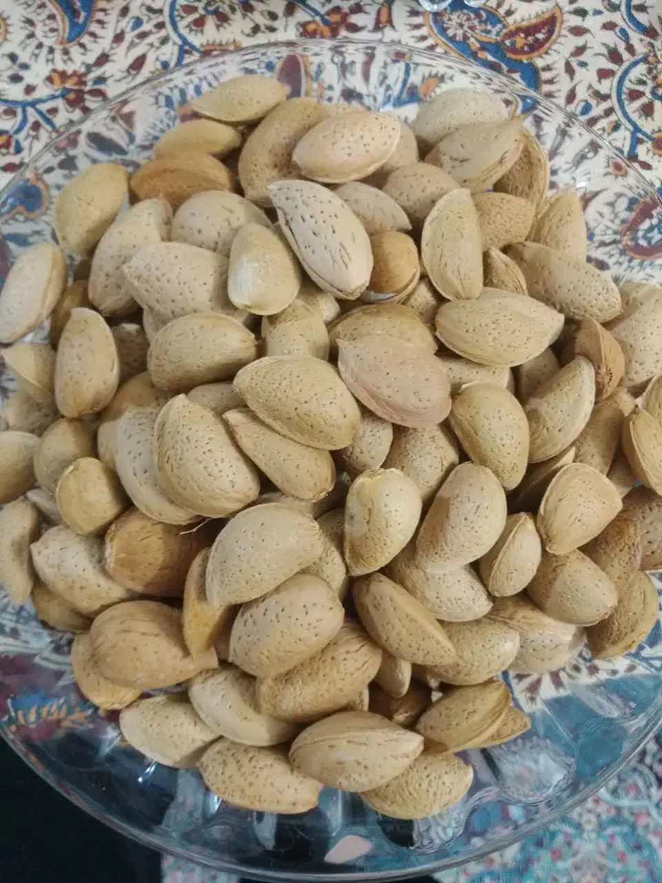 گردو آلوبخارا بادام بوانات|خوردنی و آشامیدنی|شیراز, شهرک فرهنگیان|دیوار