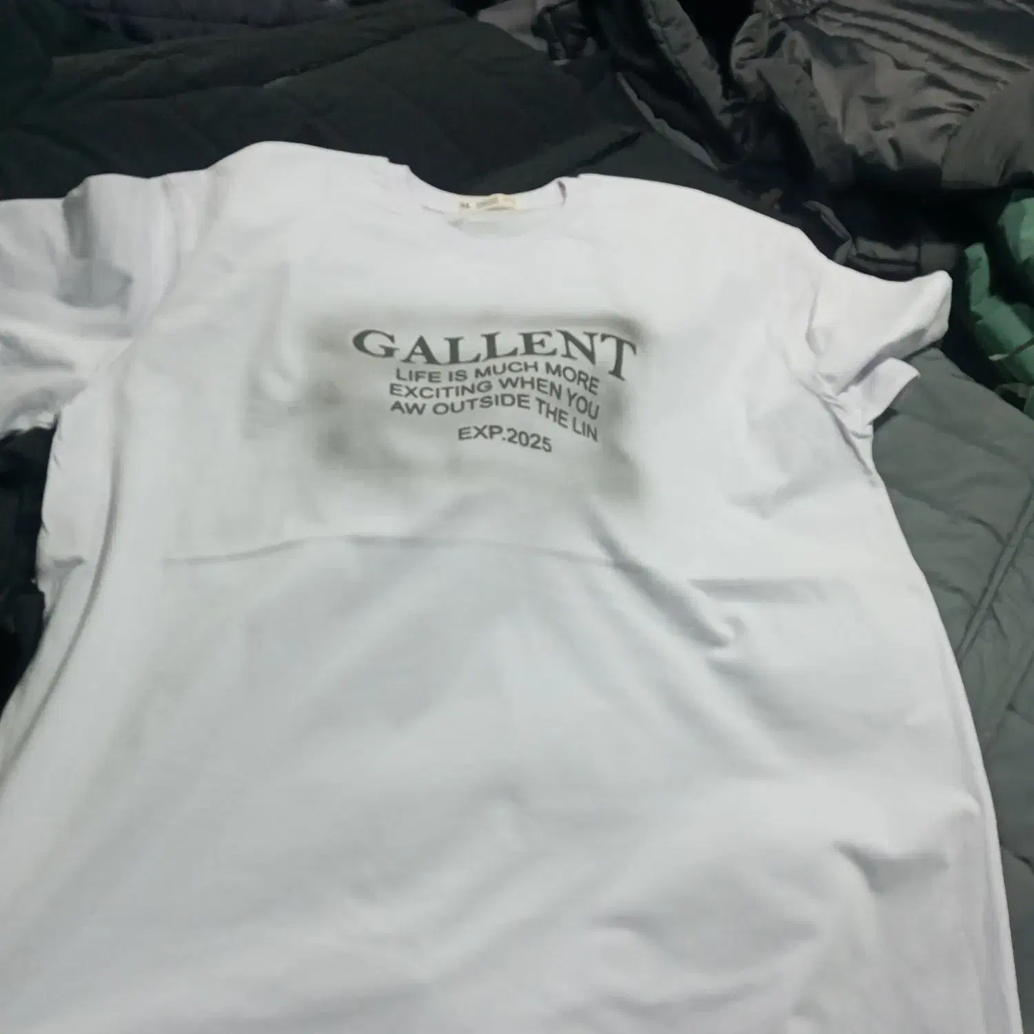 تیشرت مردانه نخ پنبه|لباس|تهران, عبدلآباد|دیوار