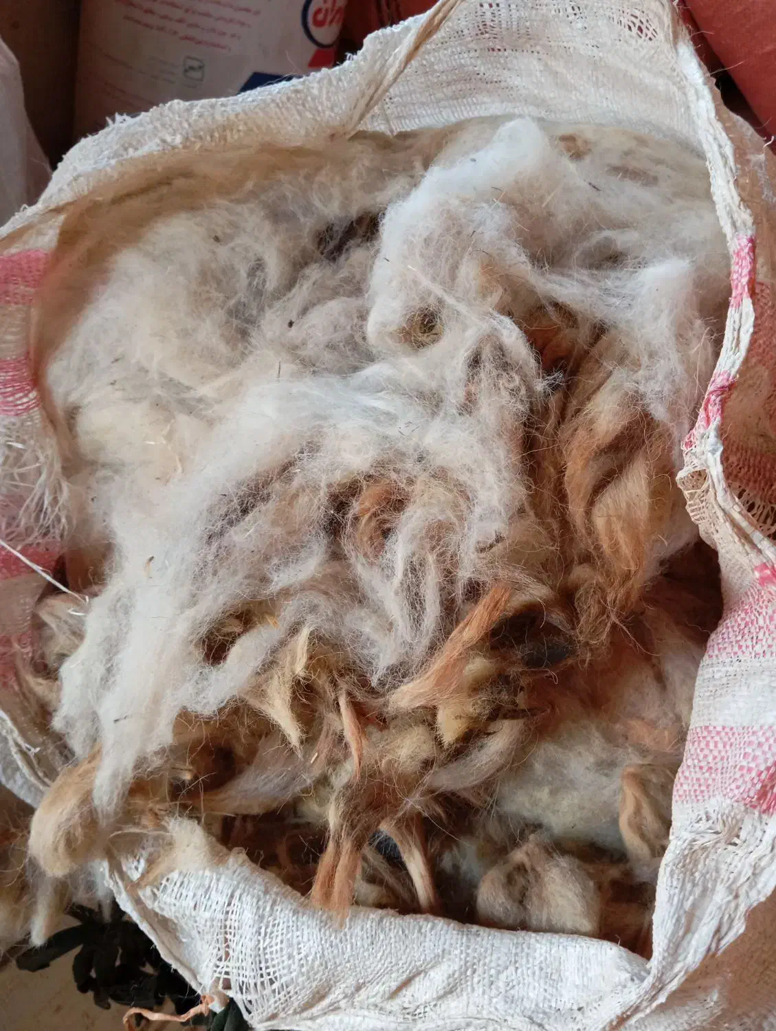 پشم|رختخواب، بالش، پتو|اندیمشک, |دیوار