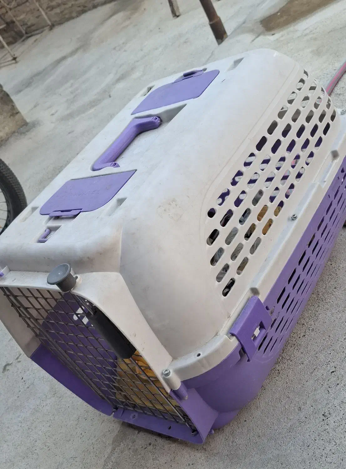 باکس بزرگ|لوازم جانبی حیوانات|نقده, |دیوار