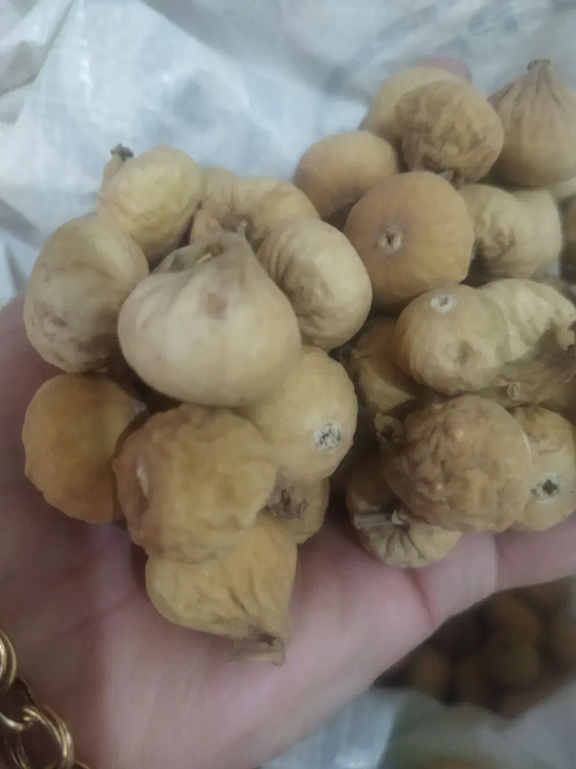 انجیر خشک|خوردنی و آشامیدنی|شیراز, شاه قلی بیگی|دیوار