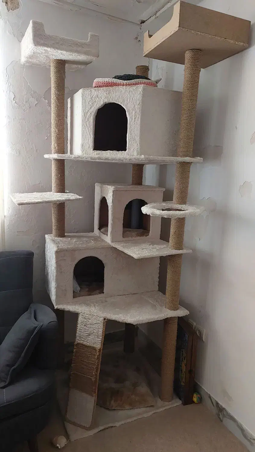 درخت گربه|لوازم جانبی حیوانات|لاهیجان, فیاض|دیوار