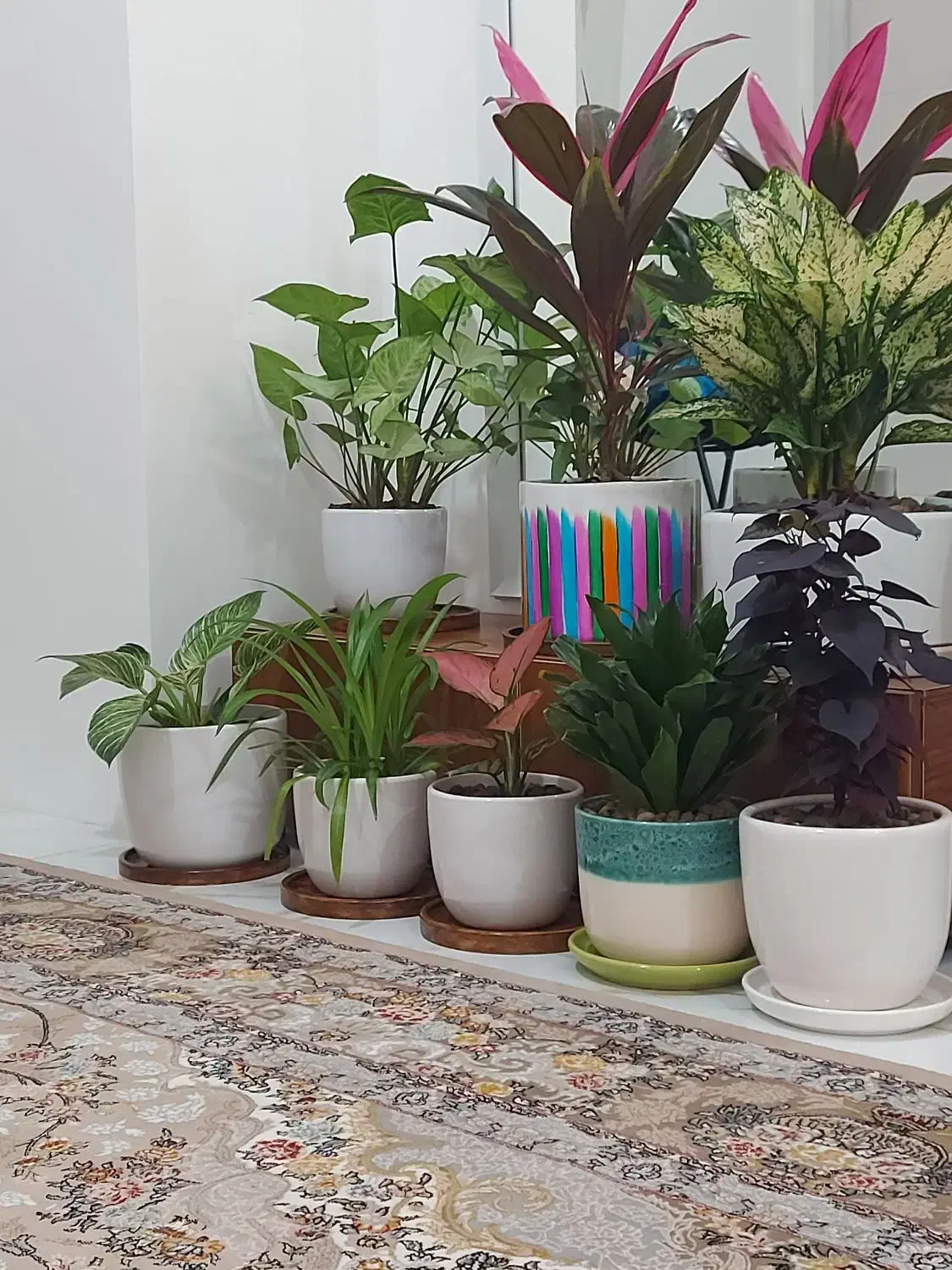 سوییت هر تایم از شبانه روز|اجارهٔ کوتاهمدت آپارتمان و سوئیت|تبریز, |دیوار