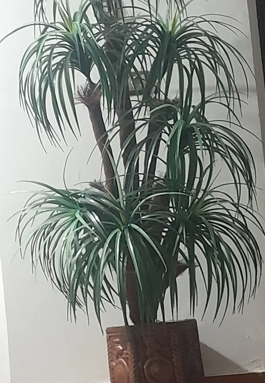 درختچه مصنوعی نخل|گل مصنوعی|شاهرود, |دیوار