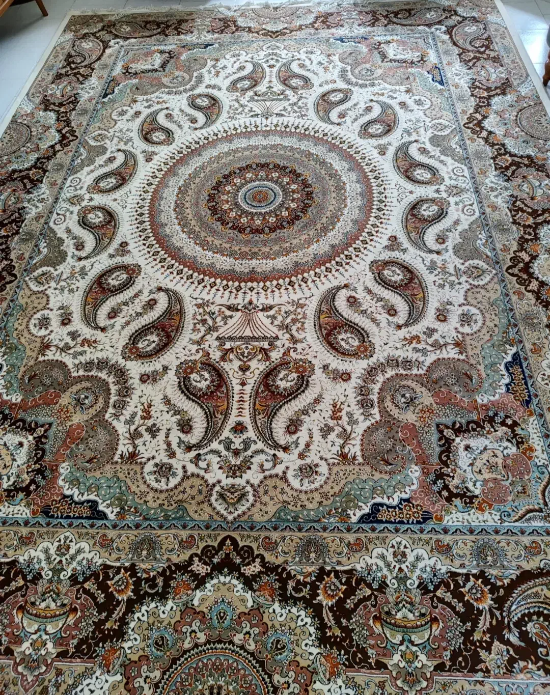 فرش ۱۲متری|فرش|گرگان, |دیوار