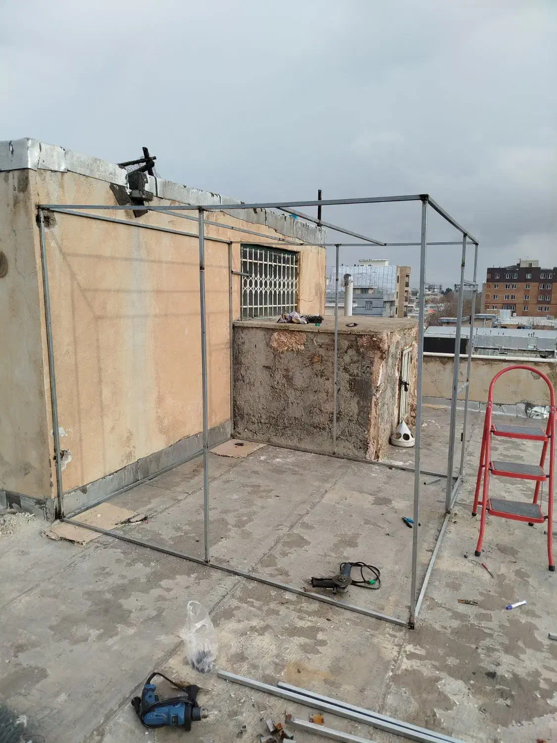 کبوتر|پرنده|بروجرد, |دیوار