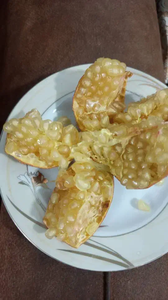 اجاره باغ انار|خوردنی و آشامیدنی|شیراز, شهرک گلها|دیوار