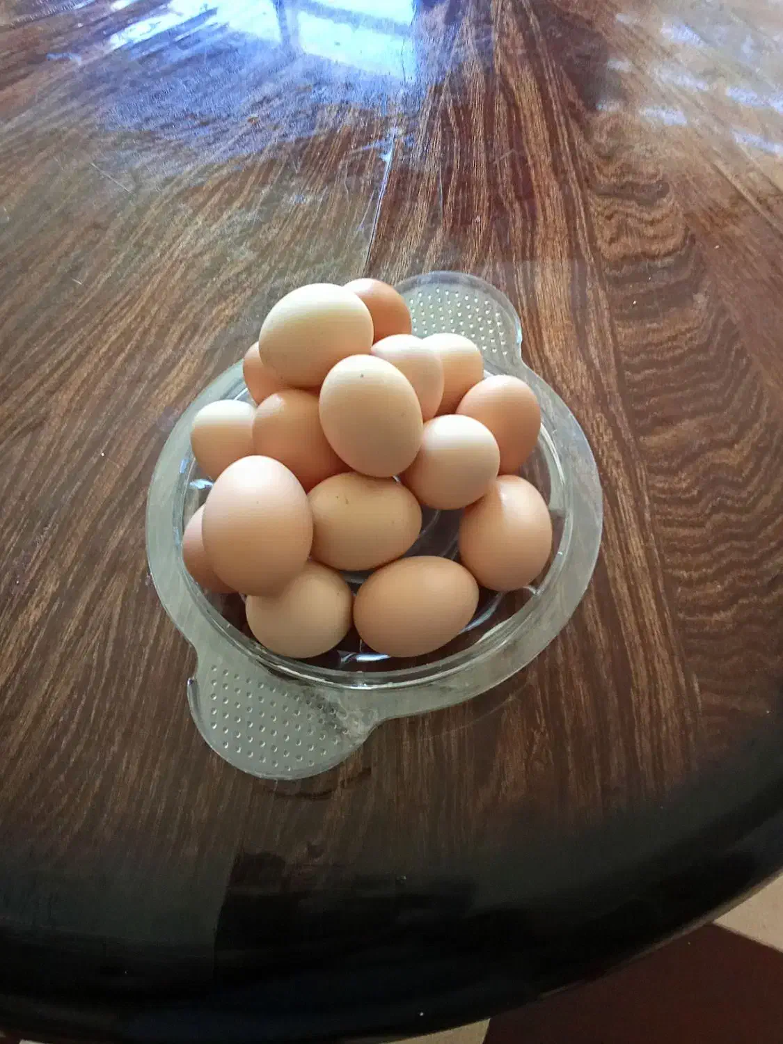 فروش تخم مرغ محلی کلی وجزیی|خوردنی و آشامیدنی|نهاوند, |دیوار