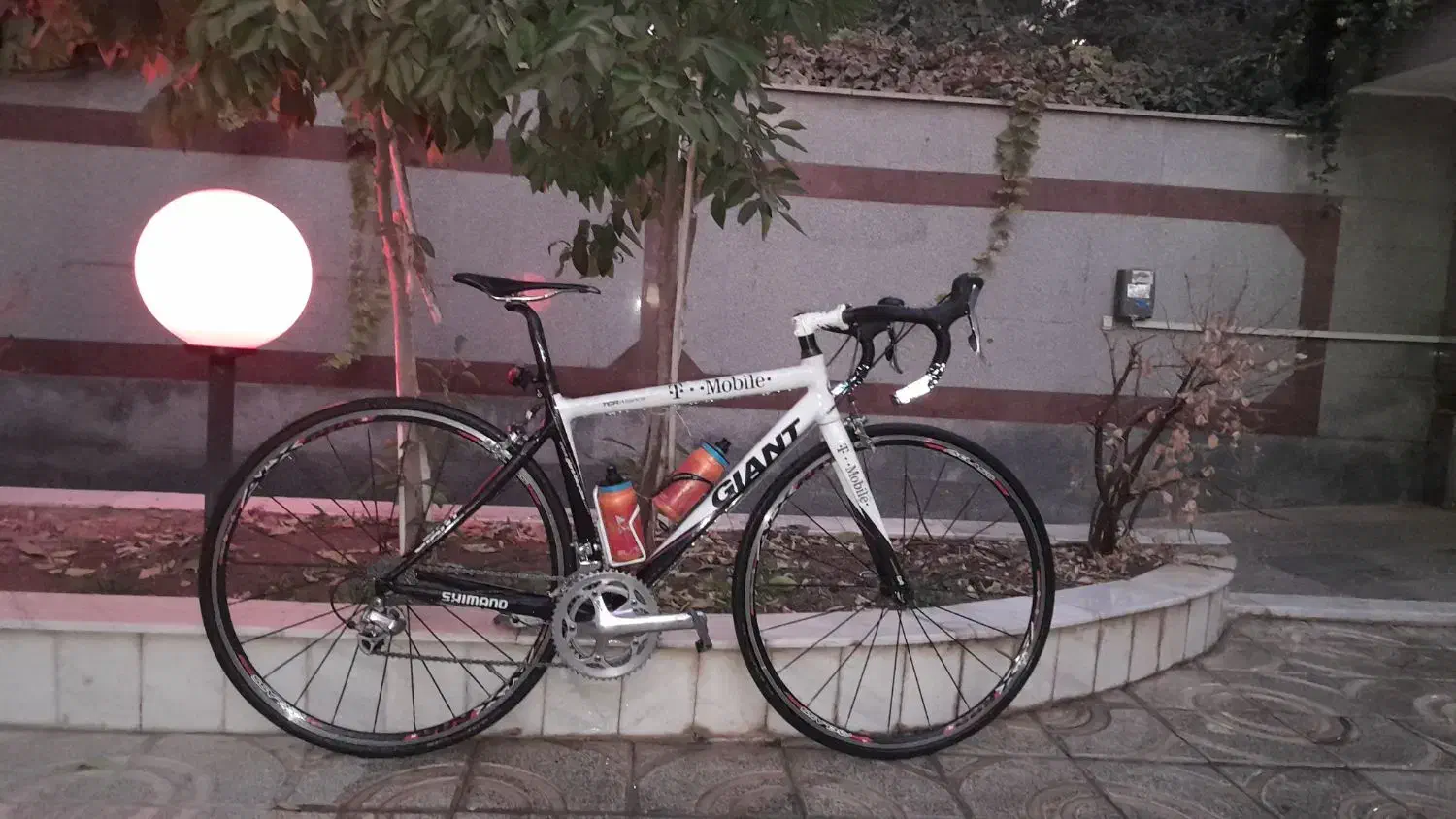 دوچرخه کورسی|دوچرخه، اسکیت، اسکوتر|تهران, حافظیه|دیوار