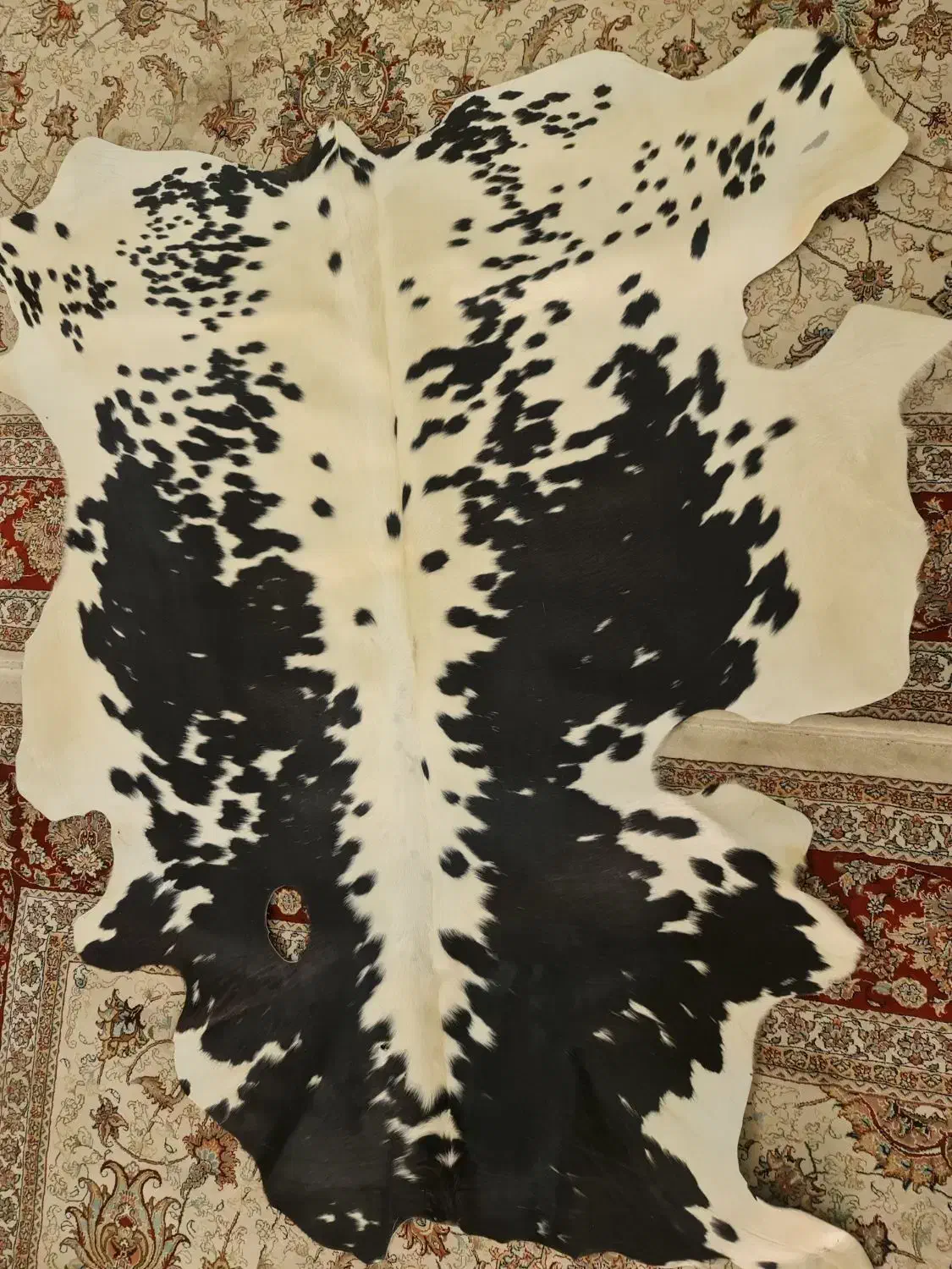 فرش پوست|فرش|خمینی‌شهر, |دیوار