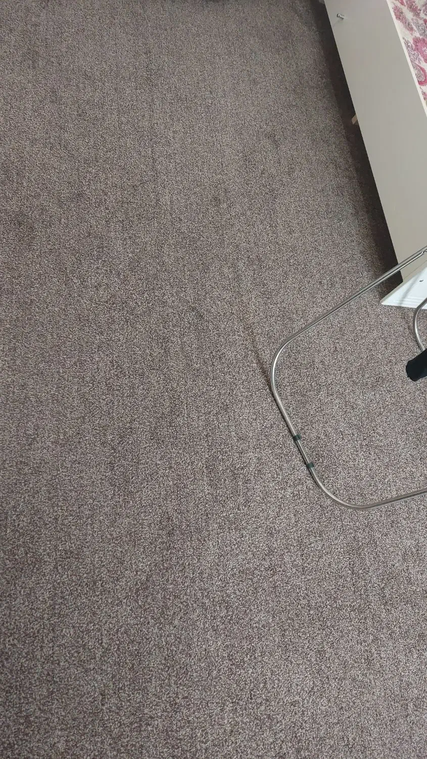 دو عدد موکت پالاژ جنس عالی|موکت|شوش, |دیوار