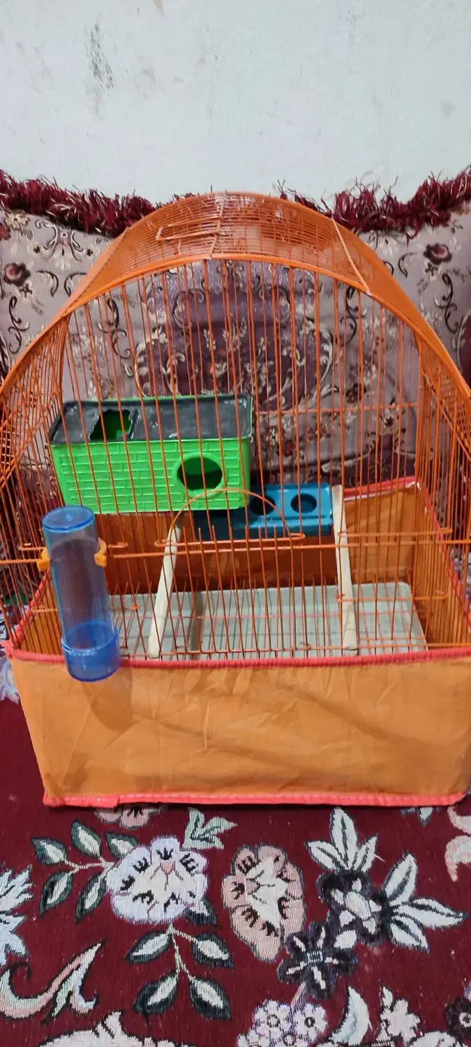 قفس|لوازم جانبی حیوانات|بندر کنگان, |دیوار